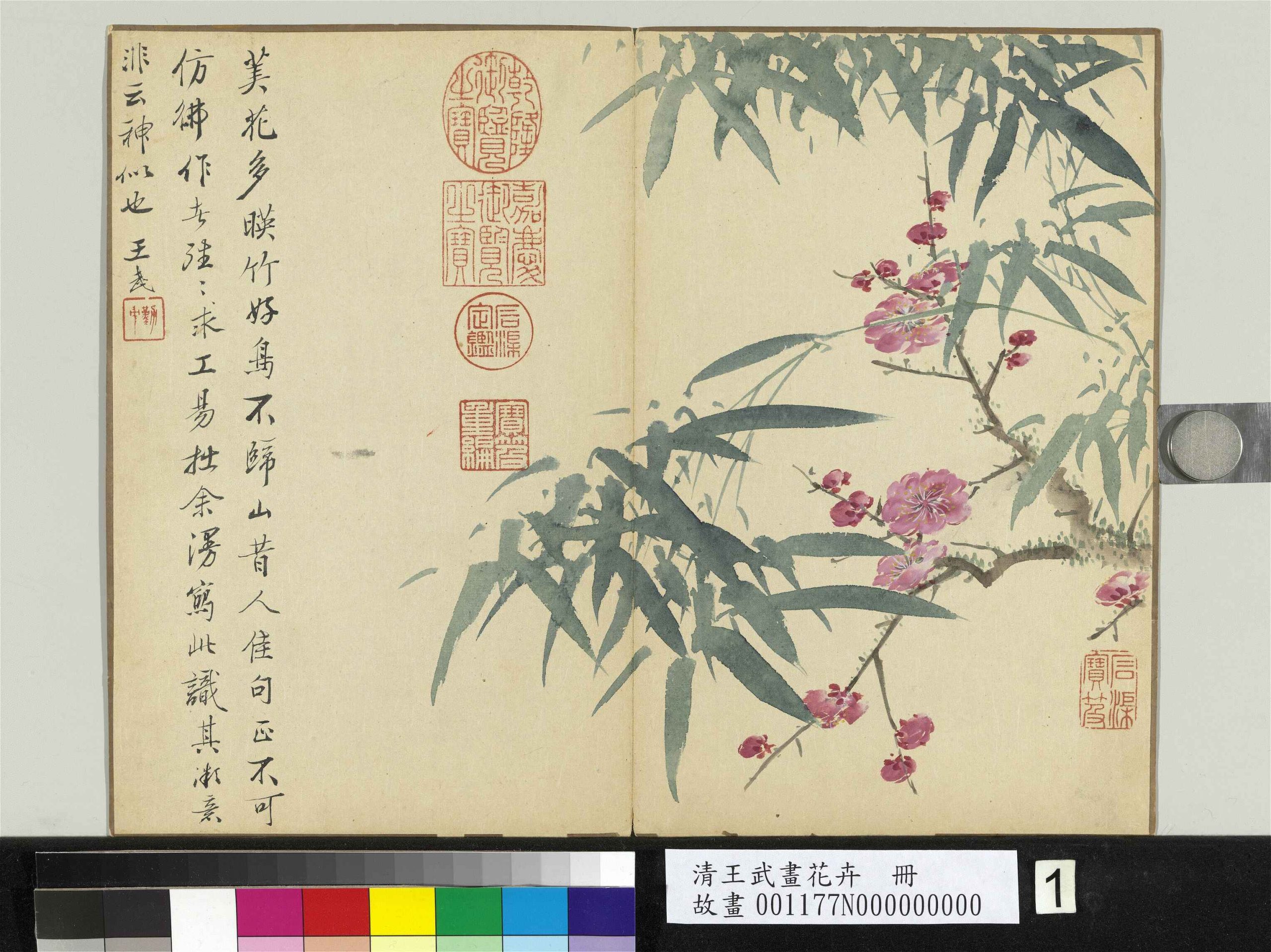 清 王武 花卉册　竹下红梅